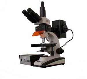 TR-SP-63X Fluorescence trinocular microscope